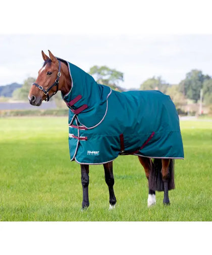 Mediumweight Turnout Rugs