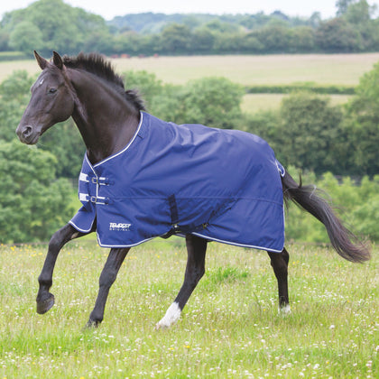 Lightweight Turnout Rugs